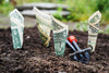 What is a CPA?
